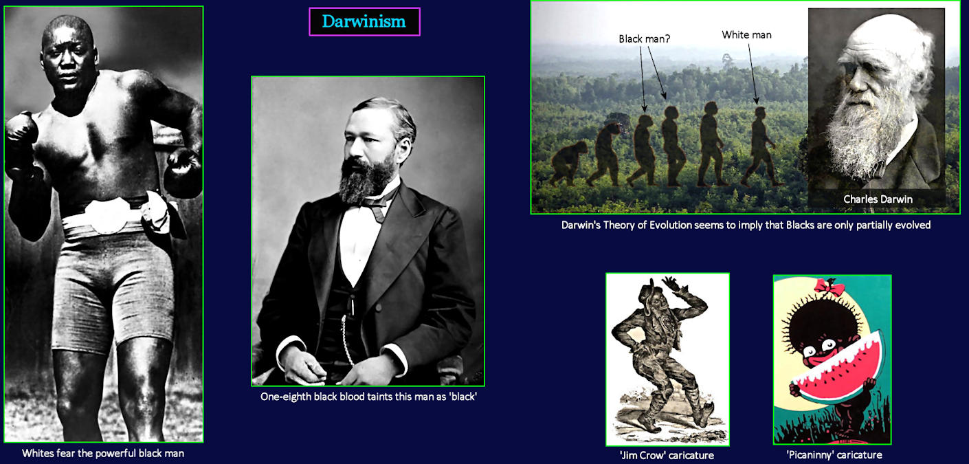 Darwinism and Jim Crow, 1920s
